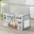 Набор фарфоровый для специй на деревянной подставке Доляна «Воробушки», 2 предмета: солонка, перечница, цвет белый - Фото 3