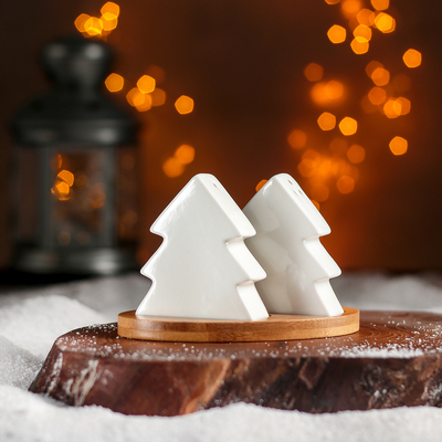 Набор для специй Доляна «Эстет. Ёлочки», 2 шт: солонка, перечница