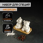 Набор фарфоровый для специй на деревянной подставке Доляна «Медведи», 2 предмета: солонка, перечница, цвет белый - Фото 1