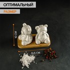 Набор фарфоровый для специй на деревянной подставке Доляна «Медведи», 2 предмета: солонка, перечница, цвет белый - Фото 2