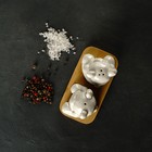 Набор фарфоровый для специй на деревянной подставке Доляна «Медведи», 2 предмета: солонка, перечница, цвет белый - Фото 4