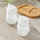 Набор фарфоровый для специй на деревянной подставке Доляна «Совы», 2 предмета: солонка 75 мл, перечница 75 мл, цвет белый - Фото 2