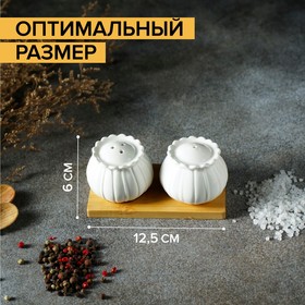 

Набор фарфоровый для специй на деревянной подставке Доляна «Тюльпан», 2 предмета: солонка, перечница