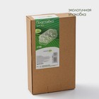 Подставка для яиц 6 ячеек Bella Tenero, 19.2×11×3.6 см, фарфор, белая - Фото 5