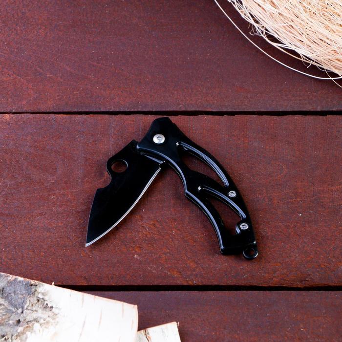 Нож перочинный складной "Черный ворон", лезвие 6 см - фото 1927499348