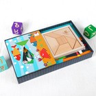 Игрушка развивающая "Тангарам" 4,2×31,5×19,5 см, 15 карточек - фото 8879692