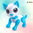 УЦЕНКА Интерактивная игрушка «Мой друг Джек», звуковые и световые эффекты - Фото 2