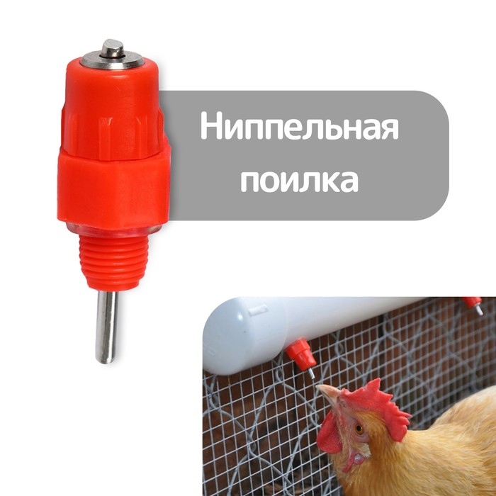 Поилка ниппельная для домашней птицы, Greengo - Фото 1