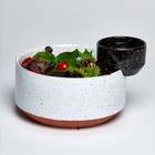 Чаша сервировочная Eclipse, для салата и соуса, 24 см - Фото 8