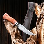 Нож охотничий "Торир" 27см, клинок 144мм/126мм, дерево - Фото 2