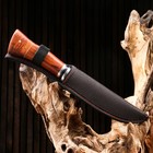 Нож охотничий "Торир" 27см, клинок 144мм/126мм, дерево - Фото 6