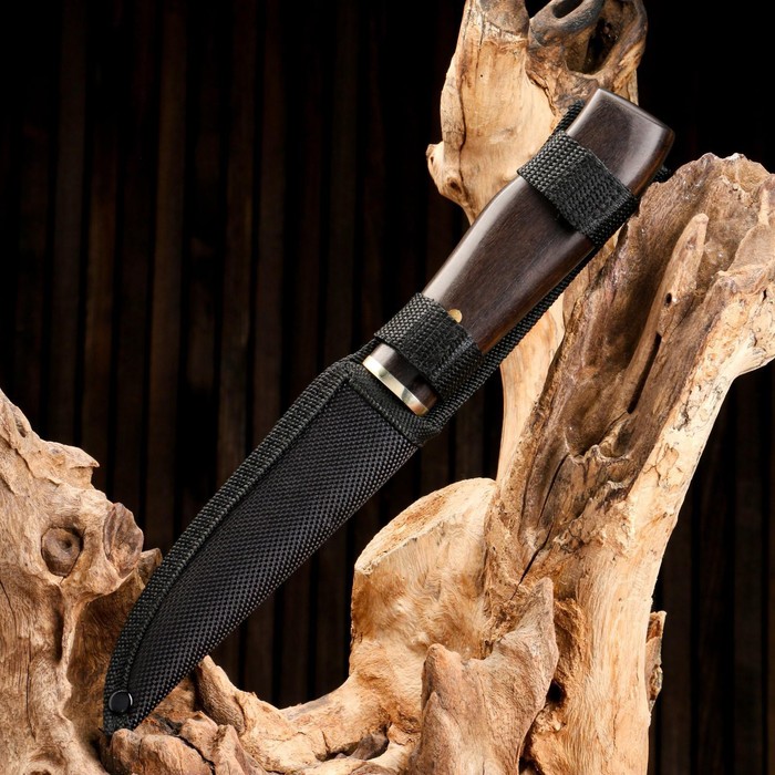 Нож охотничий "Йохан" 24,5см, клинок 125мм/2,8мм, дерево - фото 1905589355