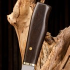 Нож охотничий "Йохан" 24,5см, клинок 125мм/2,8мм, дерево - Фото 6
