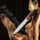 Нож охотничий "Рагнар" 25,5см, клинок 140мм/3,8мм, дерево - фото 5230173