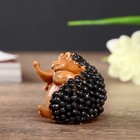 Сувенир полистоун "Смешной ёжик" МИКС 3,3х4х3,6 см - Фото 4
