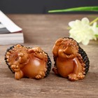 Сувенир полистоун "Смешной ёжик" МИКС 3,3х4х3,6 см - Фото 1