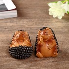 Сувенир полистоун "Смешной ёжик" МИКС 3,3х4х3,6 см - Фото 2