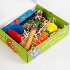 Музыкальные инструменты «Весёлые мелодии» № 1 - Фото 2