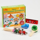 Подарочный набор музыкальных инструментов «Весёлые мелодии» - Фото 8