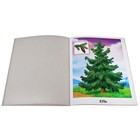 Дидактическое пособие "Деревья", 12 карточек - Фото 2
