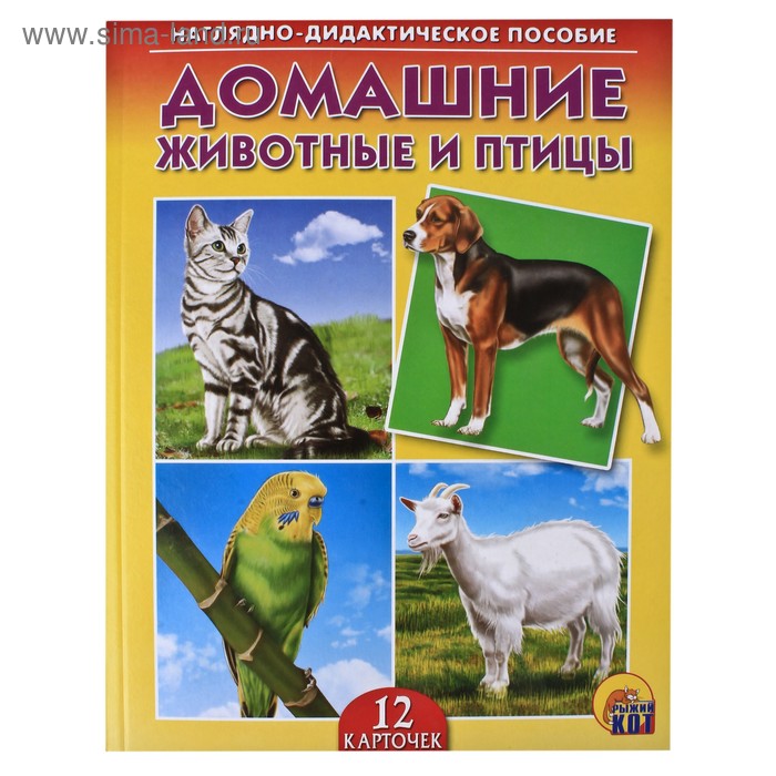 Дидактическое пособие «Домашние животные и птицы», 12 карточек - Фото 1