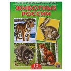 Дидактическое пособие «Животные России», 12 карточек - Фото 1