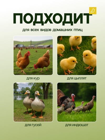 Кормушка для домашней птицы на 3 кг, пластик, Greengo