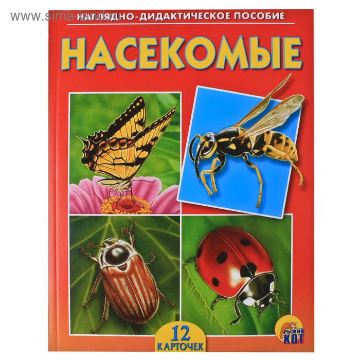Дидактическое пособие «Насекомые», 12 карточек - Фото 1