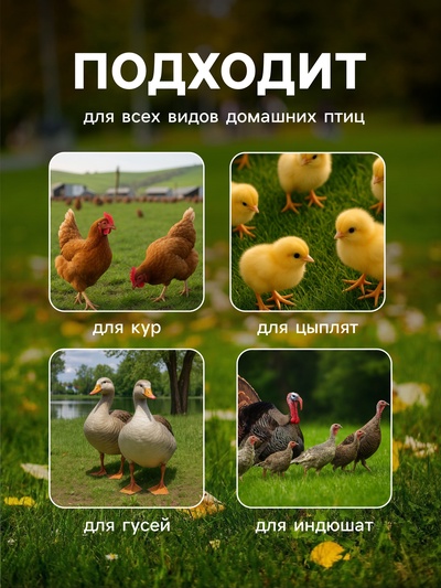 Поилка для домашней птицы, 4.5 л, пластик, Greengo