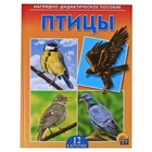 Дидактическое пособие «Птицы», 12 карточек - Фото 1