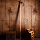 Трость разборная «Дракон», 95×10×3 см, дерево, латунь - Фото 1