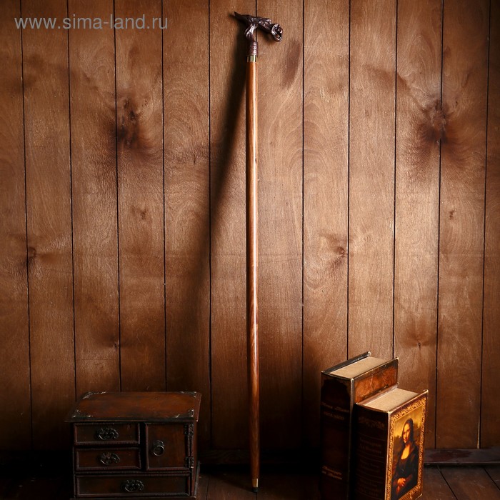 Трость разборная «Дракон», 95×10×3 см, дерево, латунь - Фото 1