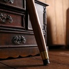 Трость разборная «Дракон», 95×10×3 см, дерево, латунь - Фото 3