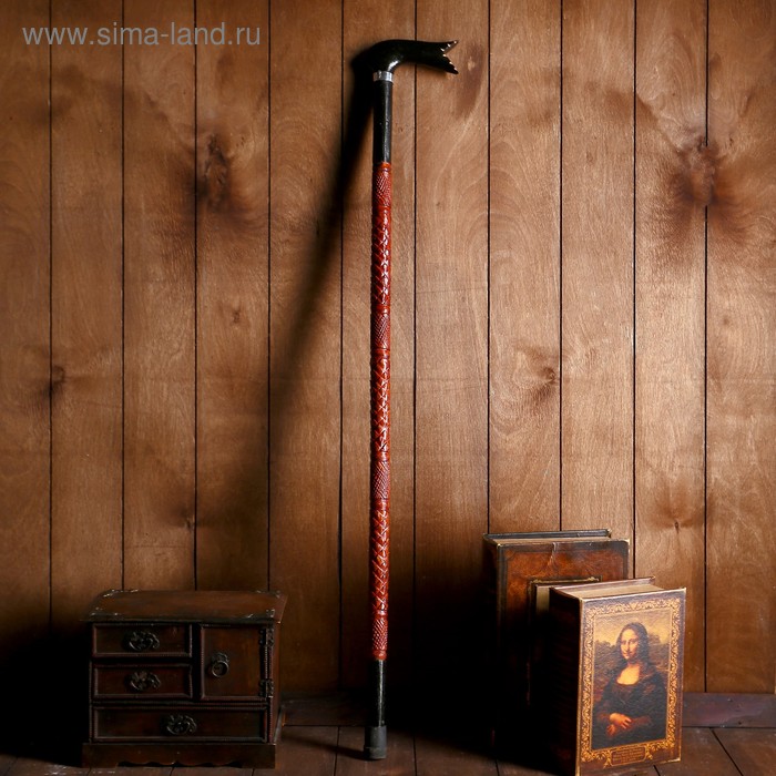 Трость «Империя», 92×13×2.5 см, дерево эвкалипт - Фото 1