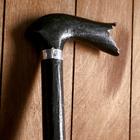 Трость «Империя», 92×13×2.5 см, дерево эвкалипт - Фото 2