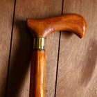 Трость «Надежда», 92×13×2.5 см, дерево эвкалипт - Фото 2