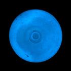 Краска акриловая люминесцентная (светящаяся в темноте), LUXART Lumi, 20 мл, белый, небесно-голубое свечение (L9V20) - Фото 7