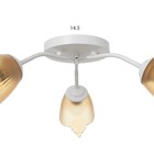 Люстра «Оникс» BayerLux 3×15 Вт E27, белый-коричневый, 50×50×15 см - Фото 6