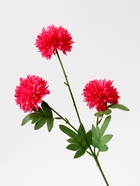 Цветы искусственные «Георгин шаровидный», 7×60 см, тёмно-розовые - фото 53117626