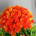 Бонсай в горшке "Цветочный куст" 9х22 см, микс - Фото 2
