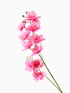 Цветы искусственные «Дельфиниум волнистый», 7.5×82 см, розовые - фото 57931344 Цветы искусственные «Дельфиниум волнистый», 7.5×82 см, розовые - фото 57931344