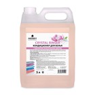 Кондиционер Prosept Crystal Rinser, экзотические цветы, концентрат, 5 л - Фото 1