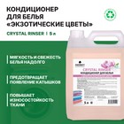 Кондиционер Prosept Crystal Rinser, экзотические цветы, концентрат, 5 л 4616587 - фото 13429576
