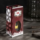 Светодиодная фигура «Фонарь с оленем» 6 × 12 × 6 см, пластик, батарейки AG13х3, свечение тёплое белое - Фото 5