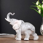 Сувенир керамика "Серый слон" 17х22х8,5 см - фото 321064050