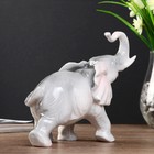 Сувенир керамика "Серый слон" 17х22х8,5 см - Фото 3