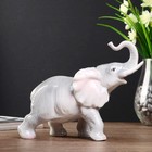 Сувенир керамика "Серый слон" 17х22х8,5 см - Фото 4