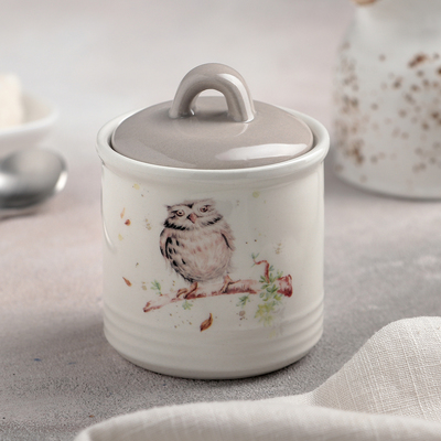 Сахарница-солонка Доляна «Совушка», 150 мл, d=7 см, доломит, белая