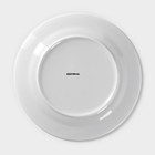Тарелка фарфоровая обеденная Доляна «Пташка», d=25,3 см, цвет белый - Фото 6