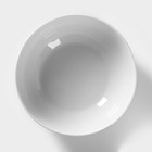 Салатник фарфоровый Доляна «Пташка» 600 мл, d=15,2 см, цвет белый - фото 4286314